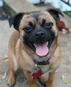 Lucy