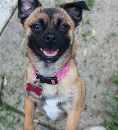 Lucy