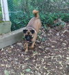 Lucy