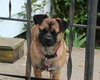 Lucy