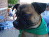 Lucy