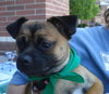 Lucy