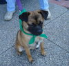 Lucy