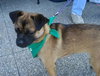 Lucy