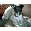 Bruno