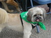 Buster
