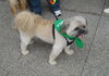Buster