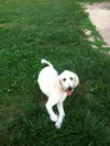 Betsy