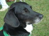 Spencer
