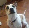 Sweet Tia