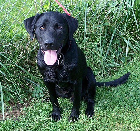 Buster