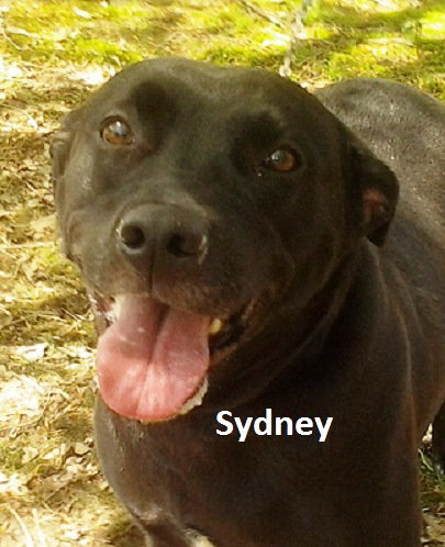 Sydney