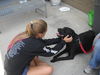 Ebony #116327 HELP EBONY OUT OF THE POUND!