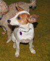 Sunnie
