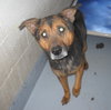 Survivor 120878 - URGENT