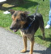 Survivor 120878 - URGENT