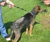 Survivor 120878 - URGENT