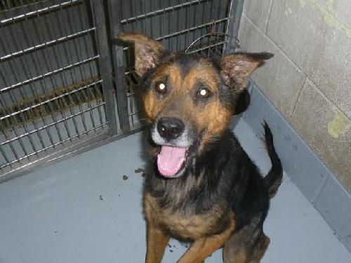 Survivor 120878 - URGENT