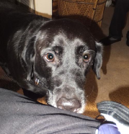 Spike