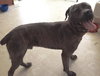 Bruce - Courtesy Listing