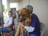 Bubba - 124851 - Courtesy Listing