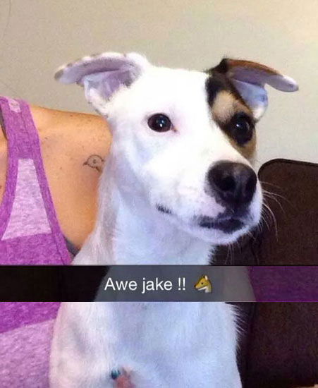 Jake