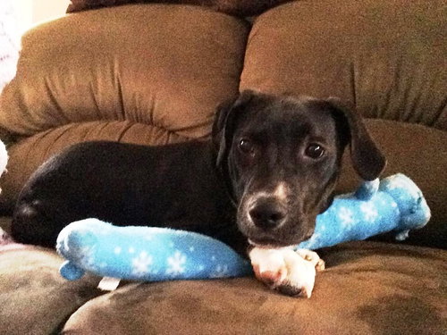Brady - Courtesy Listing