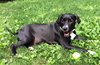 Brady - Courtesy Listing