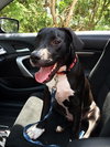 Brady - Courtesy Listing