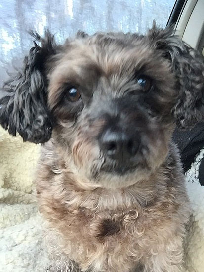 Missy