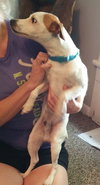 Milo - Misses his mom!