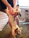 Milo - Misses his mom!