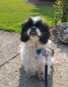 Dugan