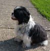 Dugan