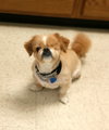 Mork & Mindy - Bonded Pair