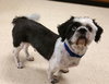 Mork & Mindy - Bonded Pair