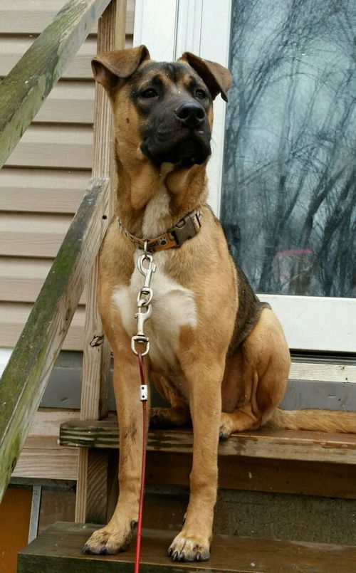 Duke