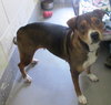 Murphy - Courtesy Post
