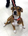 Murphy - Courtesy Post