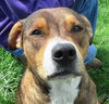 Murphy - Courtesy Post