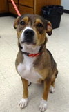 Murphy - Courtesy Post