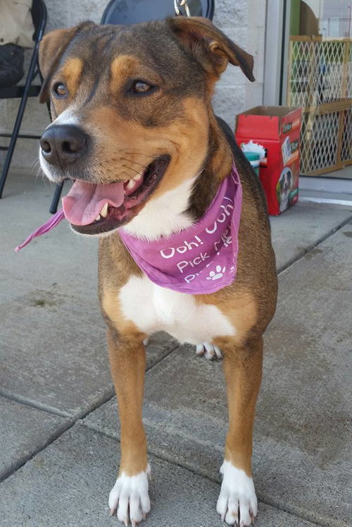 Murphy - Courtesy Post
