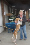 Pound Dog-Petunia 135211