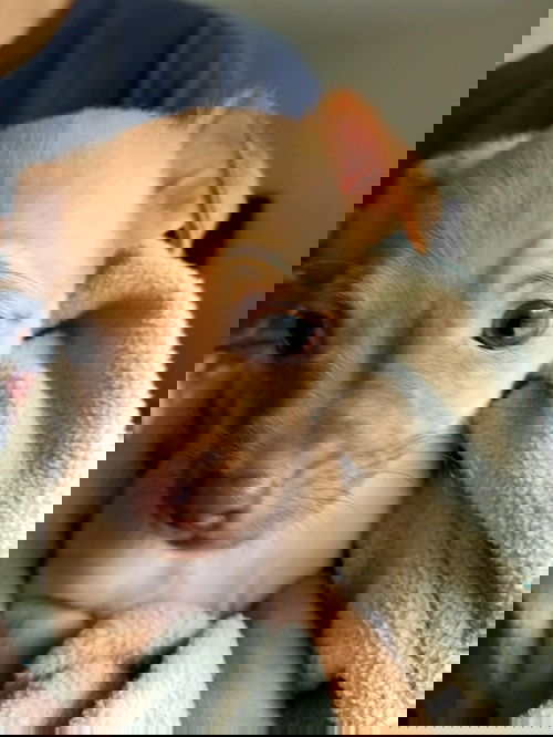 Miney