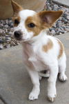 Charlie