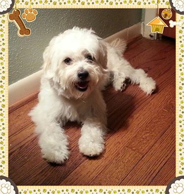 Casper