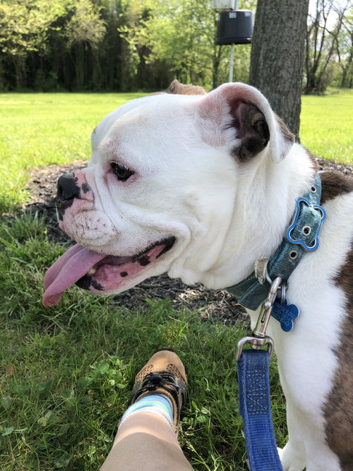 Photo 4 of Daisy Mae