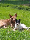 Coco - Photo 8