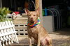 Coco - Photo 9
