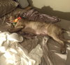 Coco - Photo 10